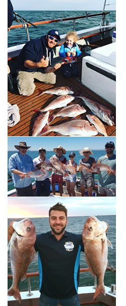 Able fishing Charters Fishing Charters in Williamstown Melbourne